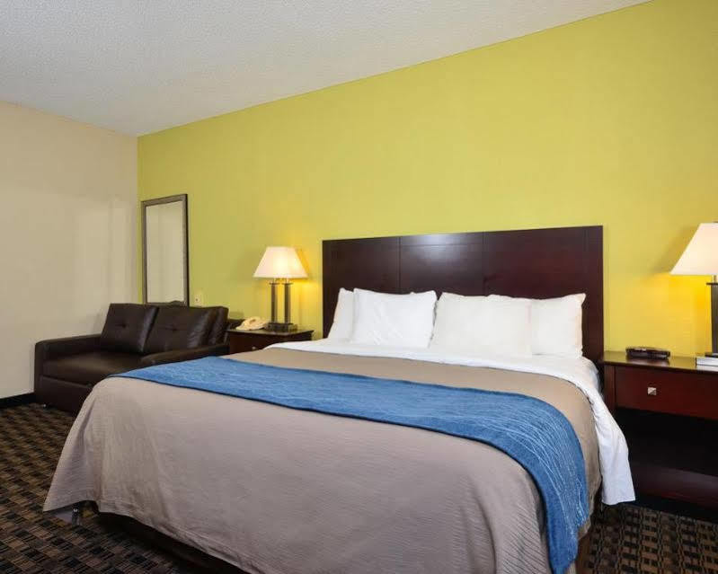 Comfort Inn Decatur Priceville Exterior foto